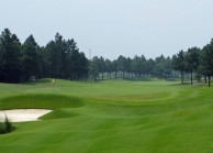 Van Tri Golf Club - Green